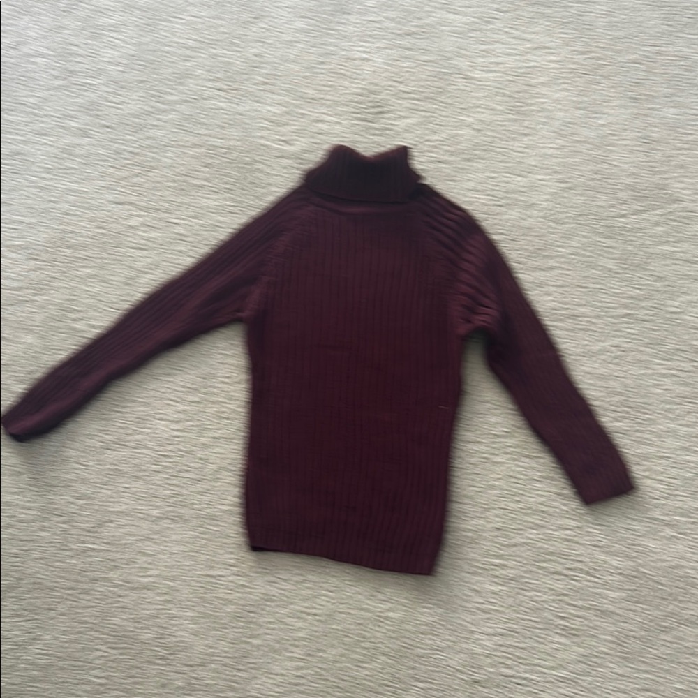 Chic Burgundy Canyon River Blues Turtleneck Sweater
